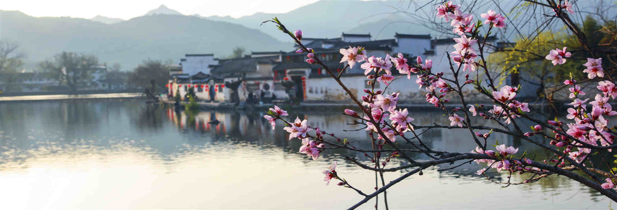 Half-Day Huangshan Hongcun Acient Village Tour